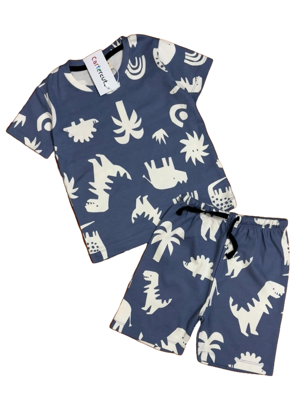 T-Rex Dino T-Shirt and Shorts Set