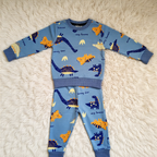 Dinosaur jogger set