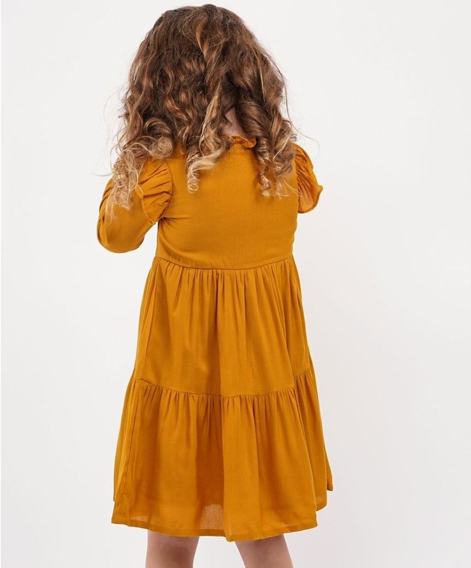 Full Sleeves Frock with Bloomer