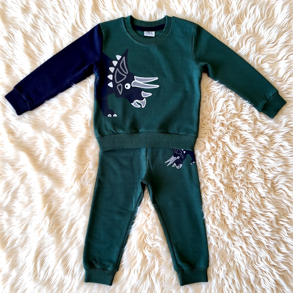 Dinosaur jogger set