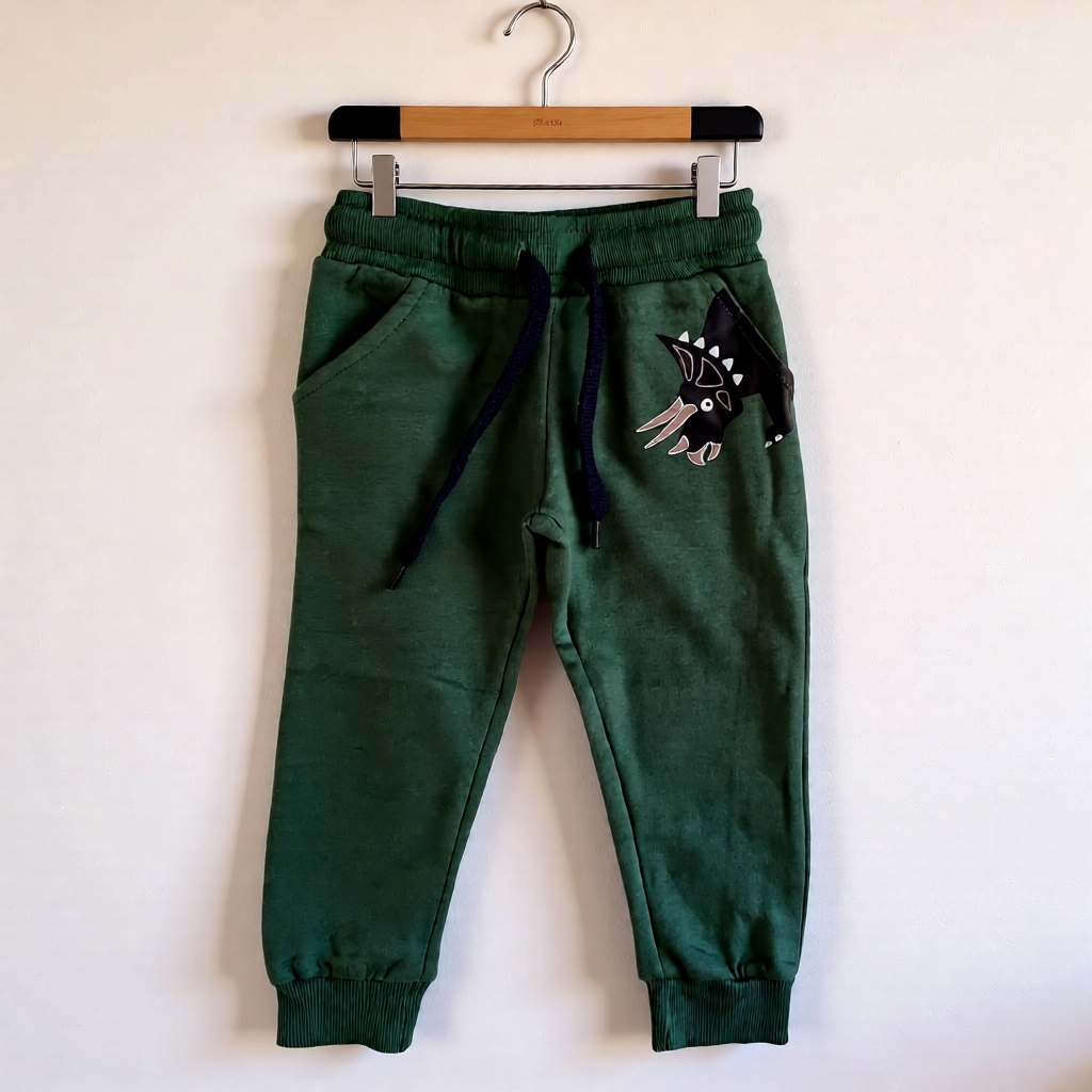 Dinosaur jogger set
