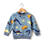 Dinosaur jogger set